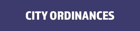 City Ordinances