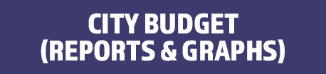 Budget Button
