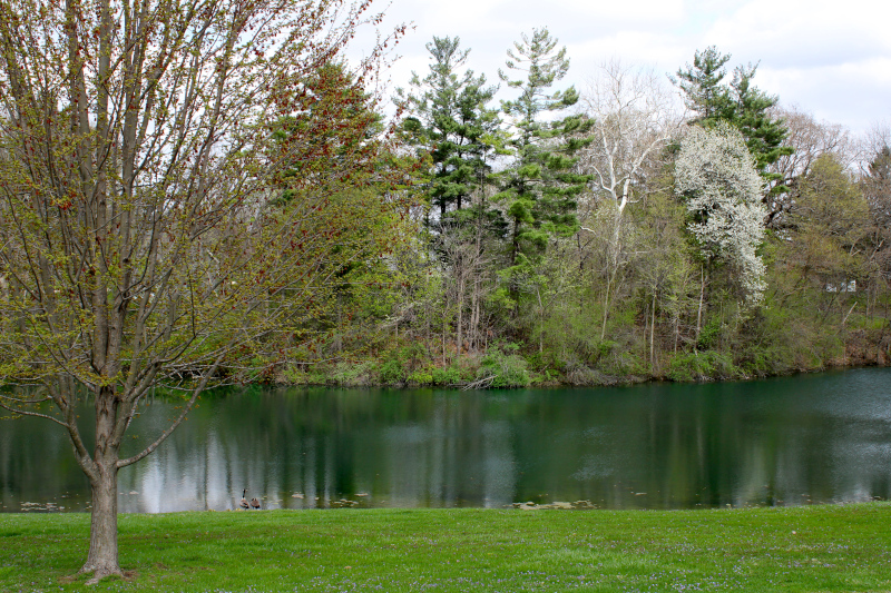 Memorial Park