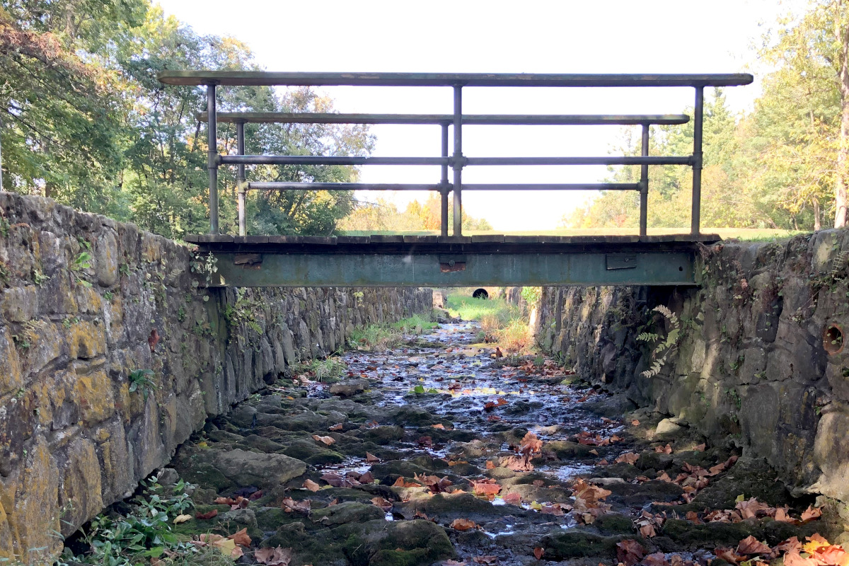 Stone Water Race