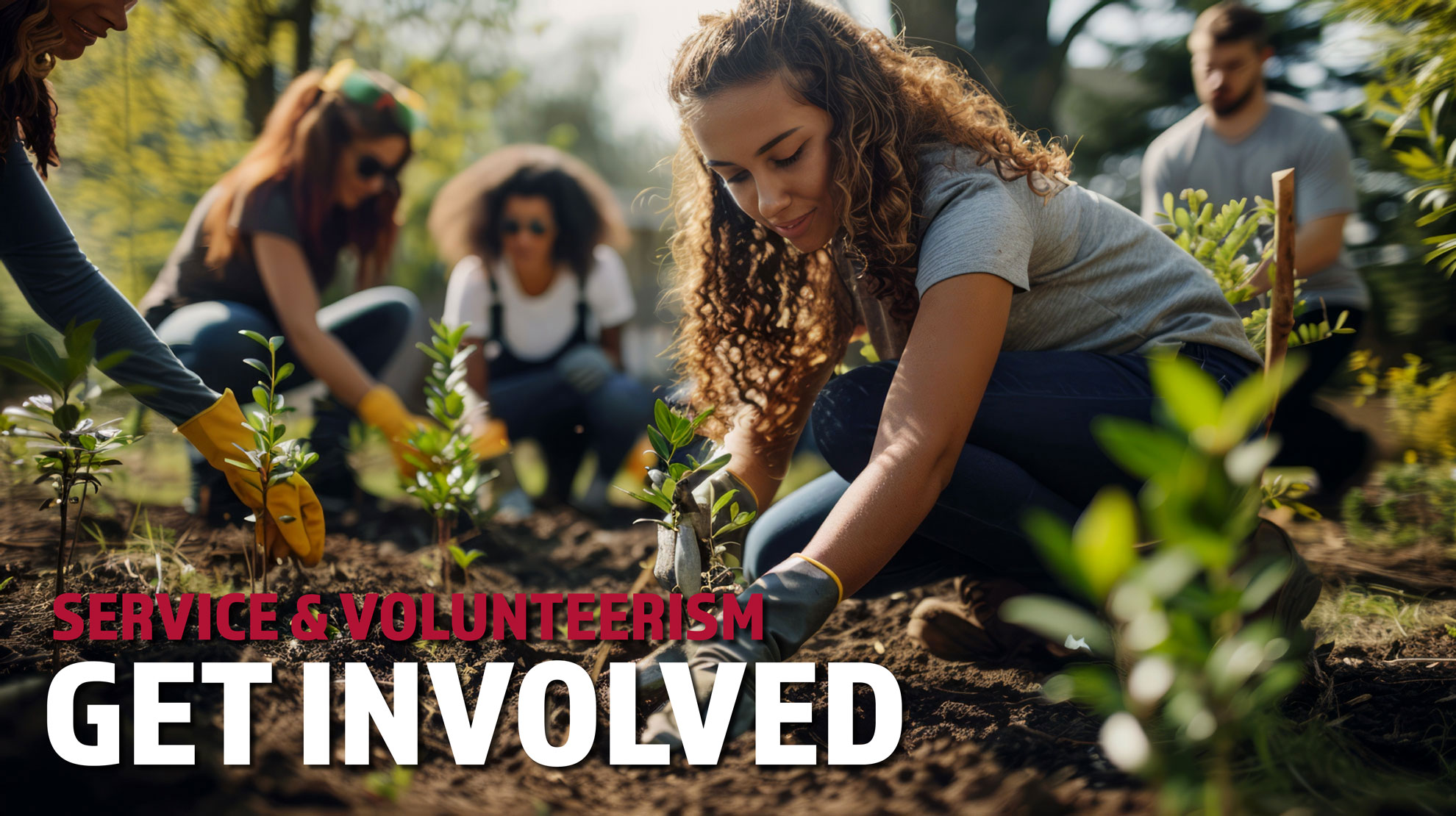 Volunteers working in a garden