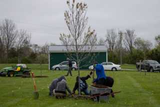20250426-Arbor-Day-02