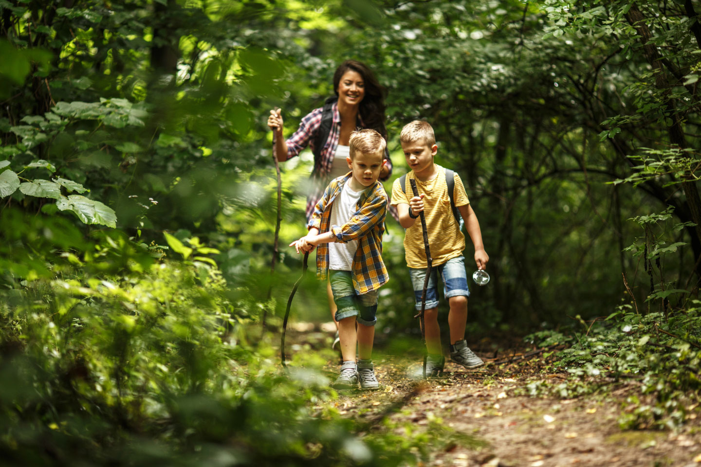 A mother and two sons hiking in the woods.